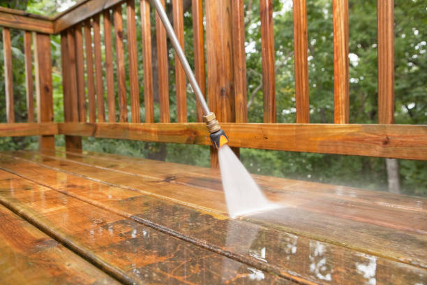 Best Driveway Pressure Washing  in Dundee, OR